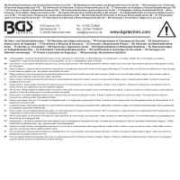 BGS